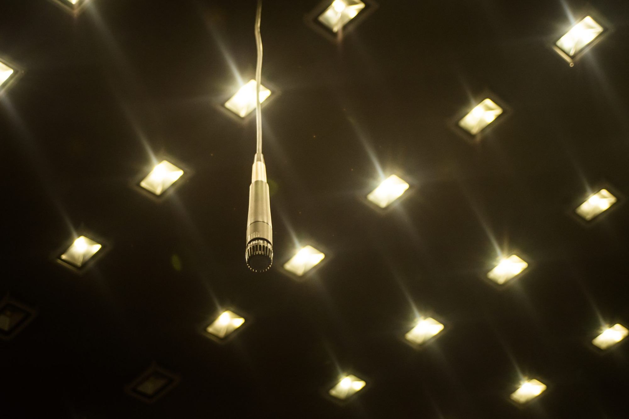 光電獸